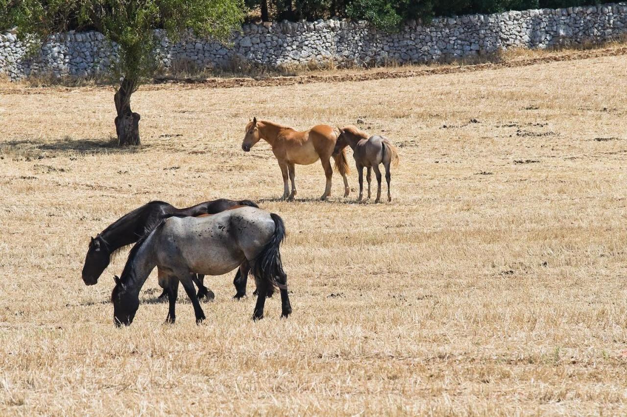 Boara Resort Mottola Bagian luar foto